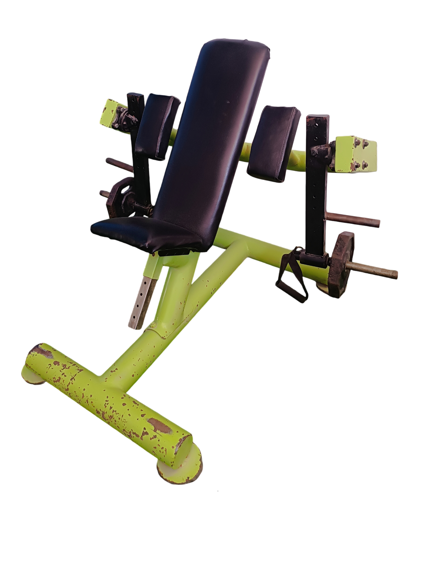 Maq. Curl Biceps